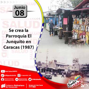 junquito 380x380