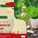 Día Internacional de la Medicina Natural o Tradicional