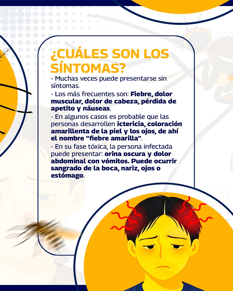 CARRUSEL-PAGINA-WEB-FIEBRE-AMARILLA_04