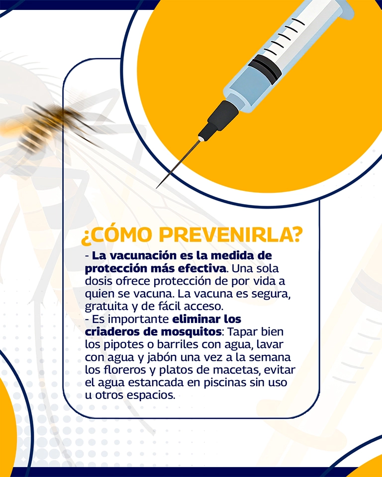 CARRUSEL-PAGINA-WEB-FIEBRE-AMARILLA_05