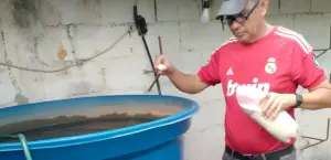 Intensifican prevención contra el Dengue y Fiebre Amarilla en sectores de Cojedes