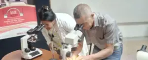 SAIAE realizó encuentro sobre Arbovirus en Venezuela