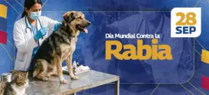 28 de septiembre Día Mundial Contra la Rabia