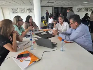 Validaron protocolos clínicos para fortalecer la atención materna y neonatal en el país